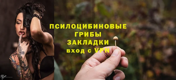соль ск Корсаков