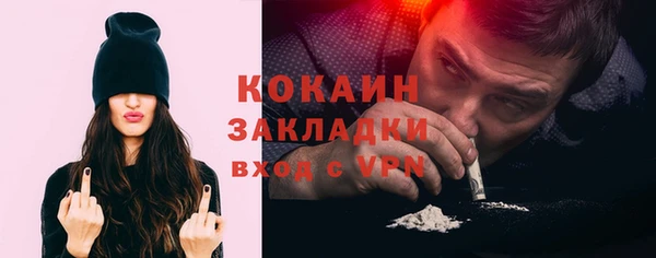 стафф Коряжма