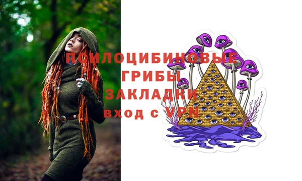 2c-b Костерёво