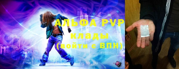 стафф Коряжма