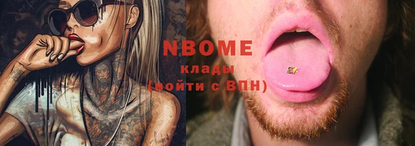 стафф Коряжма